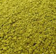 DAMIANA LEAVES POWDER